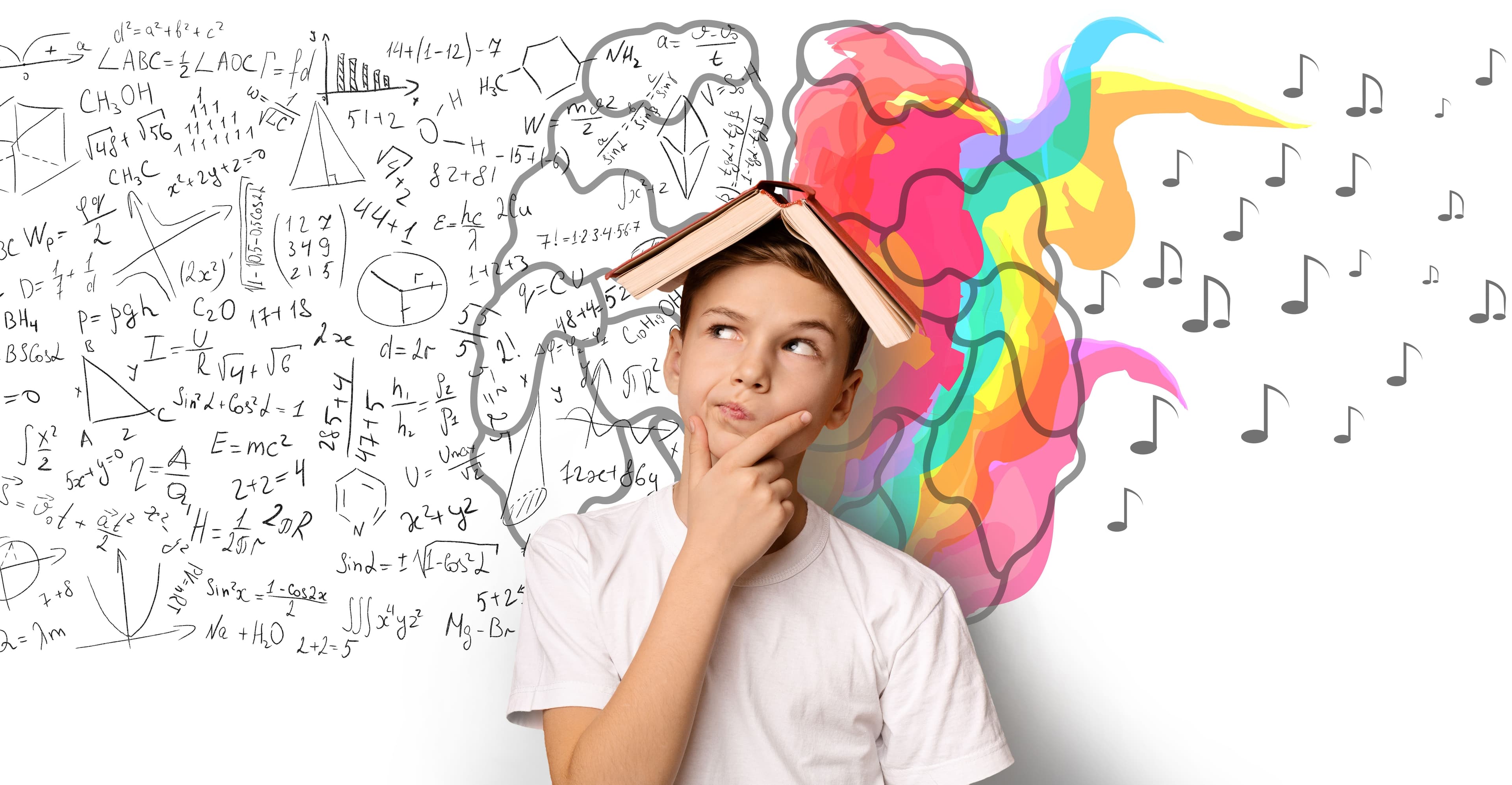 Entendiendo el cerebro en la infancia y la adolescencia .jpg