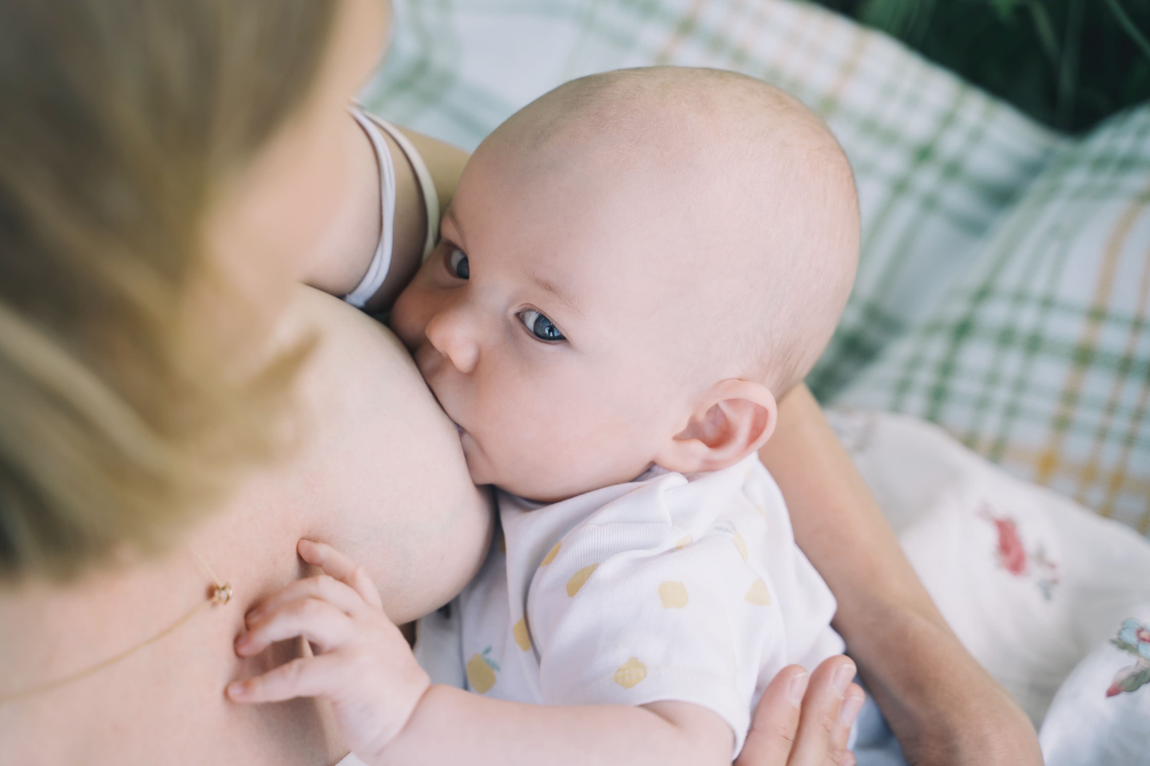 Tips en Lactancia Materna .jpg