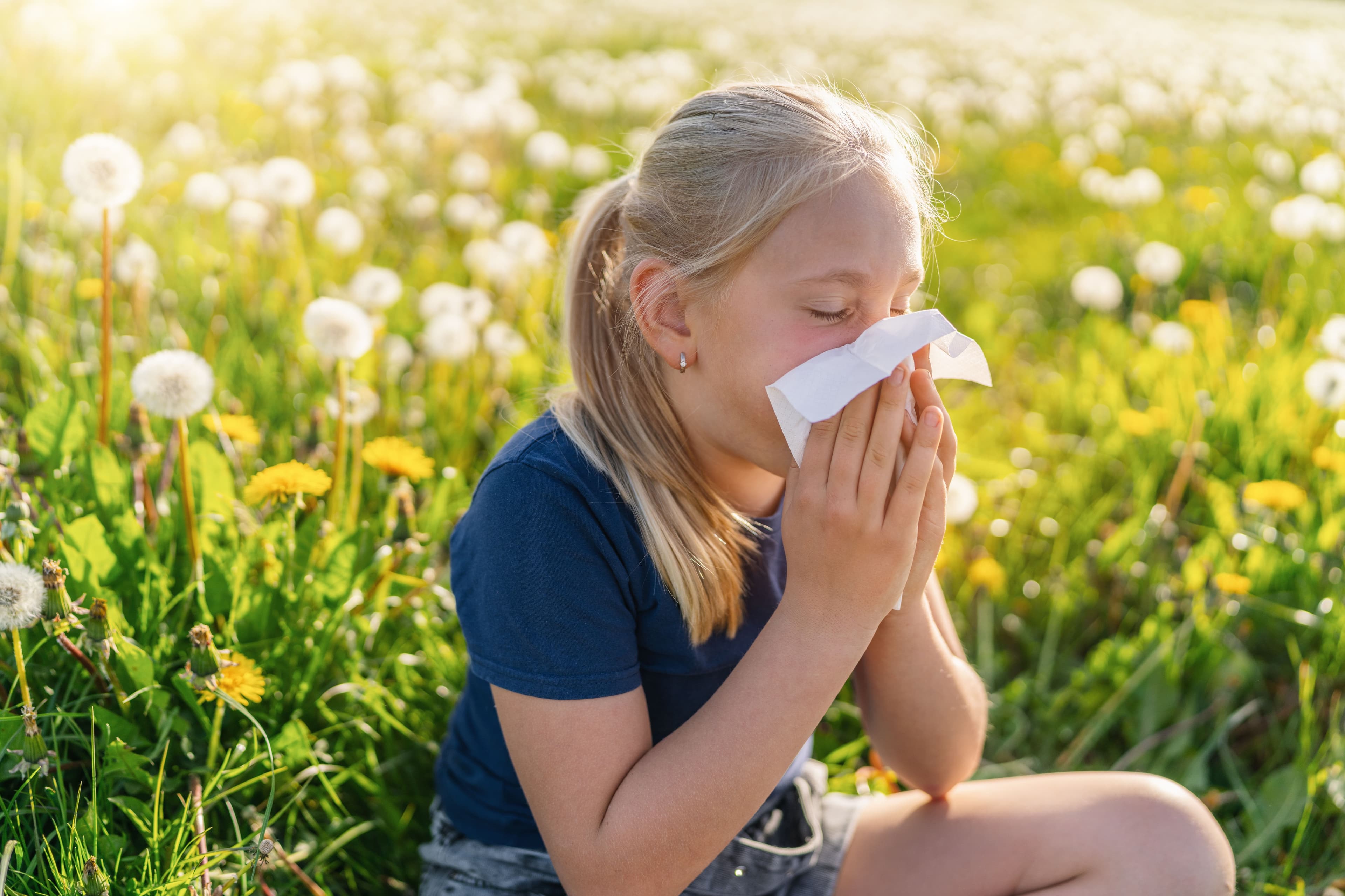 alergia polen.jpg