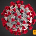 coronavirus_1.png