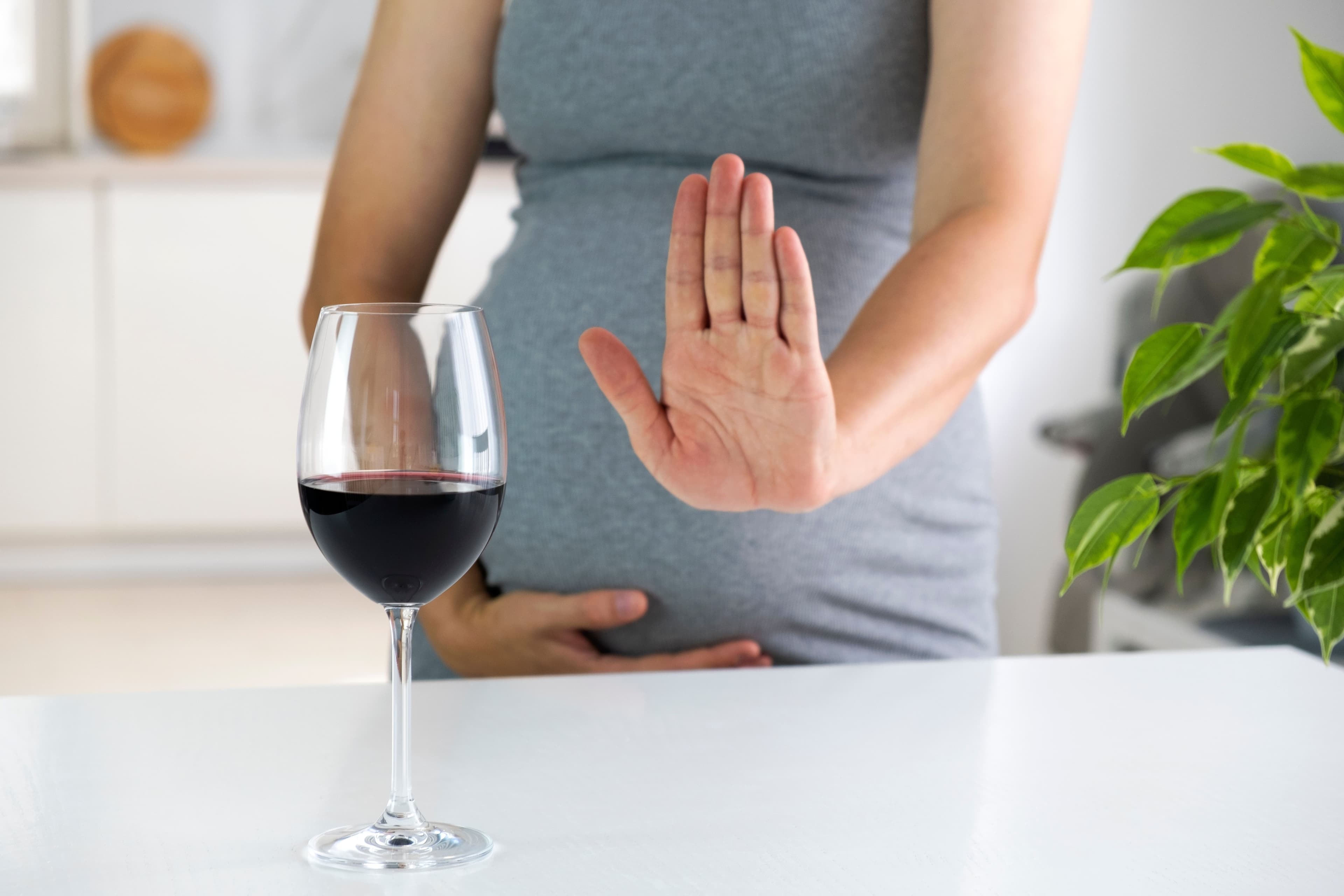 Trastorno del Espectro Alcohólico Fetal (TEAF)_ guía breve para familias.jpg