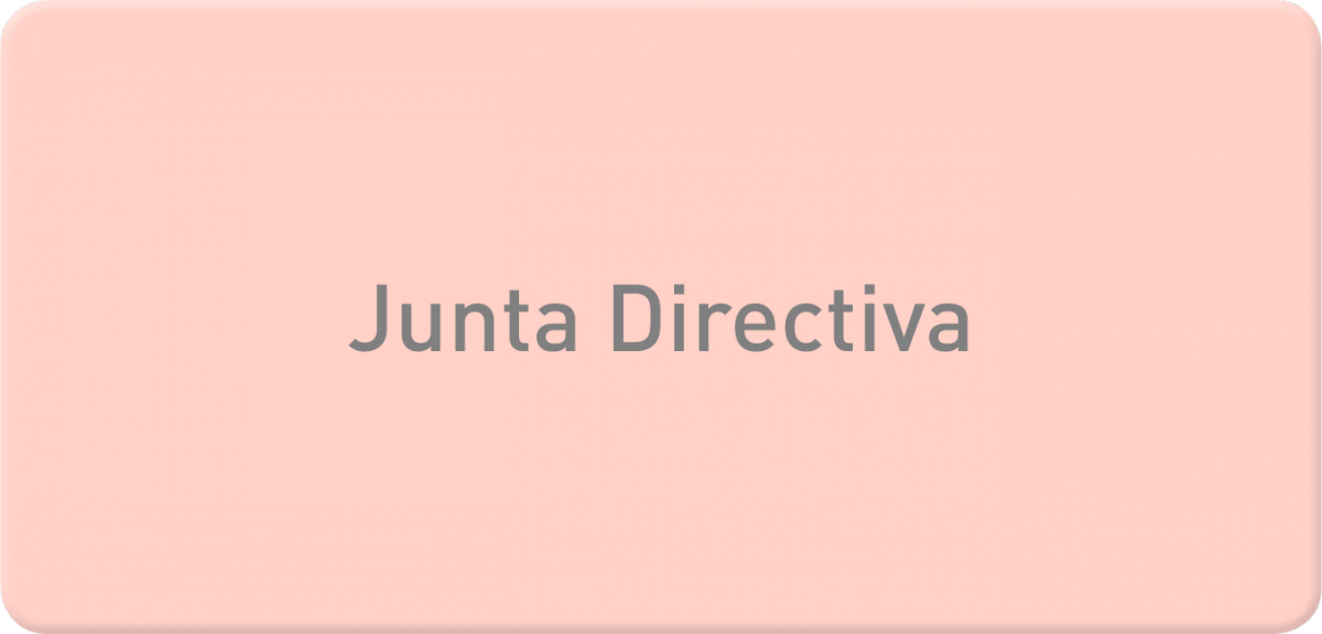 Junta directiva