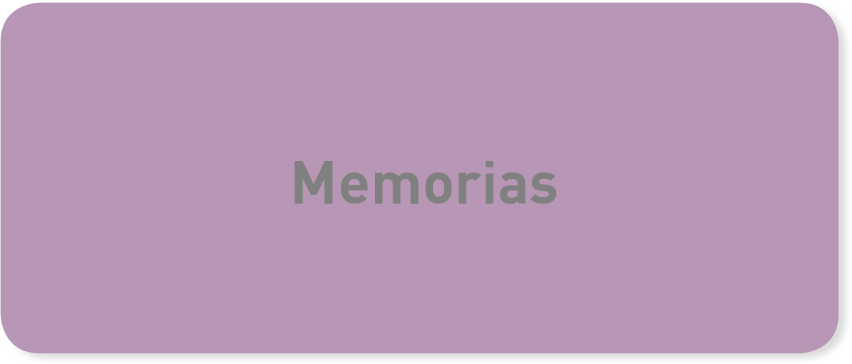 Memoria de actividades y economica