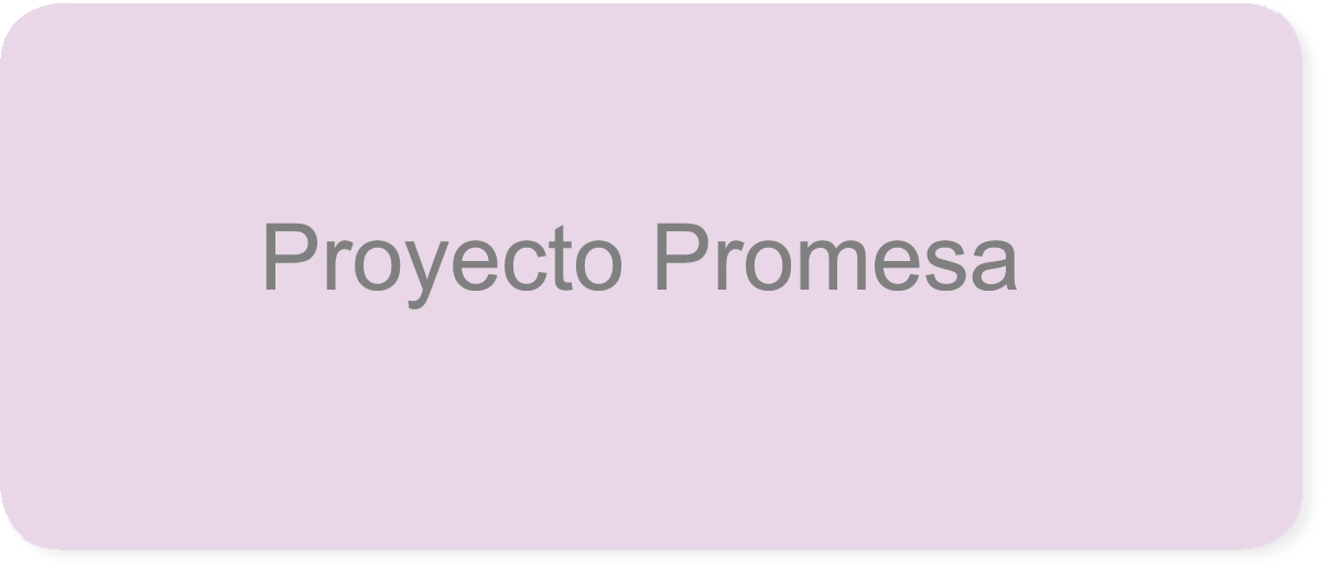Proyecto Promesa