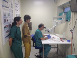 Primer Curso de Introducción a la Experimentación Animal en Pediatría