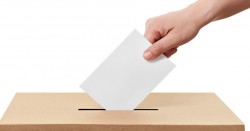 Elecciones AEP 2021