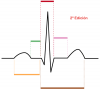 2ª edición del curso sobre e­lec­tr­ocar­dio­gra­ma pe­diá­tri­co