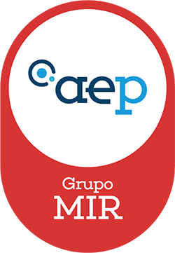 Grupo MIR